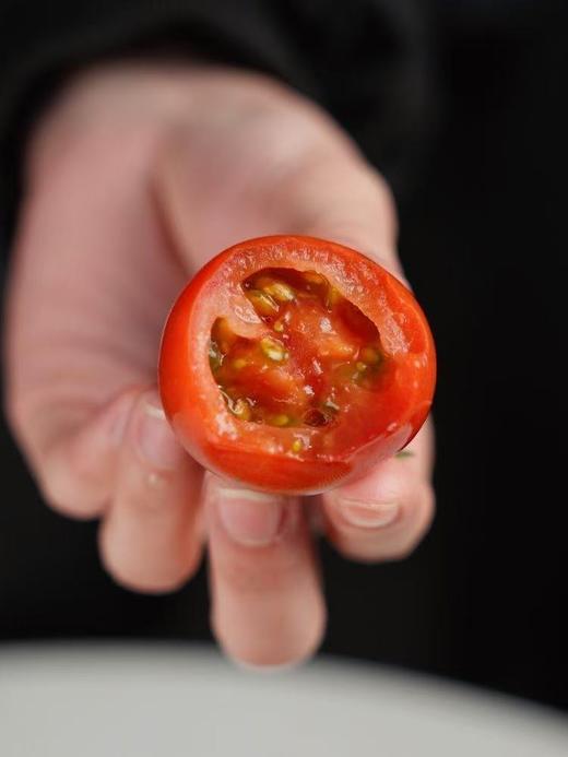 猫太推荐---碱水地脆皮番茄（3斤） 商品图2