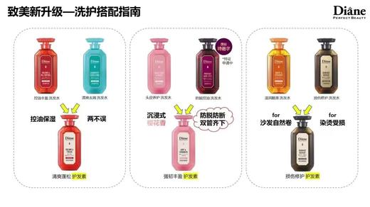 【原装进口】黛丝恩 致美洗发水/护发素450ml【多种功效可选】 商品图11
