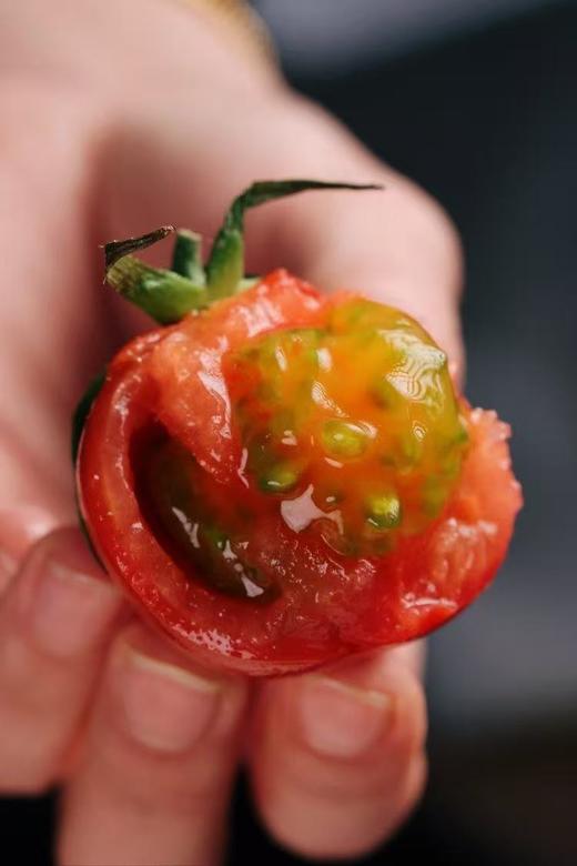 猫太推荐---碱水地脆皮番茄（3斤） 商品图0