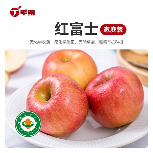 有机苹果 有机种植 天然好味道 整箱包装 有机苹果新年礼品 商品图5