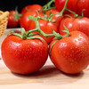 普罗旺斯西红柿自然成熟新鲜沙瓢有籽大番茄不催熟酸甜多汁果肉紧实人工采摘口口爆汁 商品缩略图4