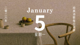 我们该如何安放那些具体而微的日常？