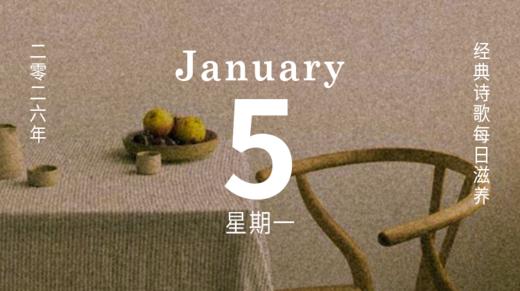 我们该如何安放那些具体而微的日常？ 商品图0