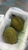 马来西亚猫山王榴莲鲜果（散称39.8/斤 称重补差）默认剥好 商品缩略图1