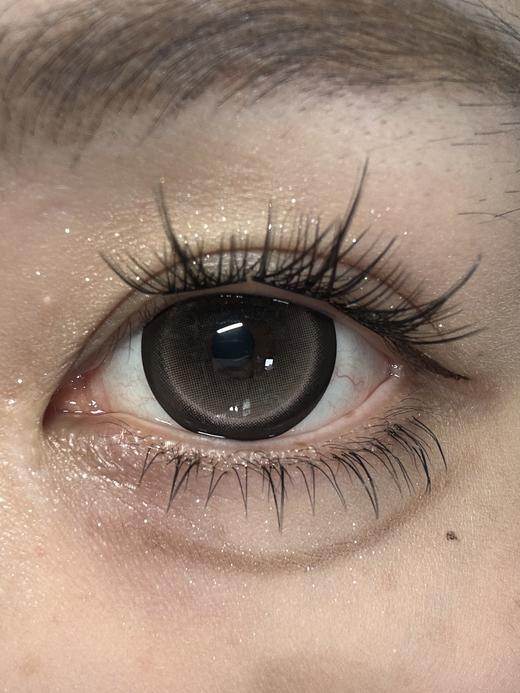 Doriscon半年抛美瞳 可乐豆 14.5mm 商品图0