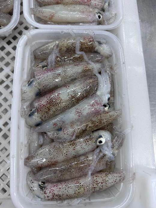 & 超值新客福利，鱼虾蟹套餐秒杀268‼  下单送青龙虾一只，先到先得‼ 【活冻】 商品图4