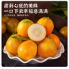 融安甜金桔（中）约500G /份 商品缩略图0