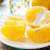 【福建 甜心柚】薄皮易剥、爆汁甜润，高维 C + 膳食纤维完美搭配，产地直供鲜到舌尖超满足！秋冬必备的清甜快乐！ 商品缩略图2