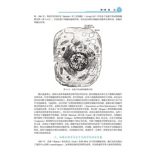 细胞与分子生物学 十四五普通高等教育研究生规划教材 夏宇尘 张百芳 可作为其深入理解和拓展细胞与分子生物学的可靠指南科学出版社 商品图4