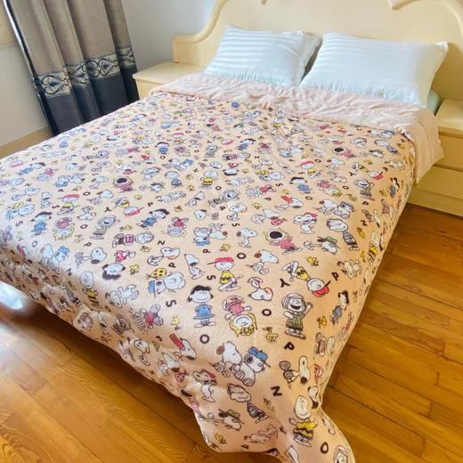 出口🇯🇵日本Nitori多层絎缝吸湿发热亲肤加厚毛毯 毯被 翻头被 商品图3