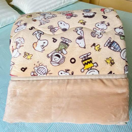 出口🇯🇵日本Nitori多层絎缝吸湿发热亲肤加厚毛毯 毯被 翻头被 商品图6