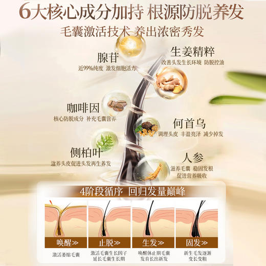 【99任选3件|均价￥33/件】儒意叶纯防脱固发洗发露500g 生姜洗发水防脱固发正品牌旗舰店控油蓬松滋养发根洗发露膏|儒意官方旗舰店 商品图2