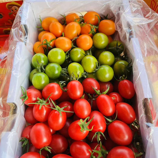 【一定要多吃瘦身糖丸千禧果】来自海沙地的小甜番，瘦身的精髓就在这！瘦就现在！ 商品图8