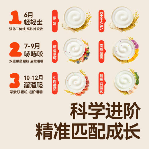秋田满满有机婴幼儿维C加铁益生菌胚芽米粉(原味)258g 商品图2