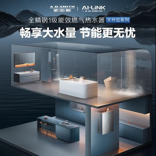 【JSLQ-34LJEWi】全精钢1级能效燃气热水器大升位系列 商品图0