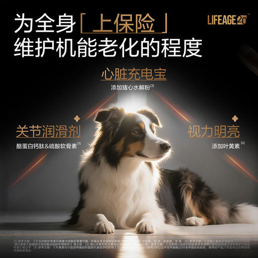 【老年LA20】卫仕老年犬专用粮长寿菌20岁关键营养LA20长寿菌1.5Kg 商品图4