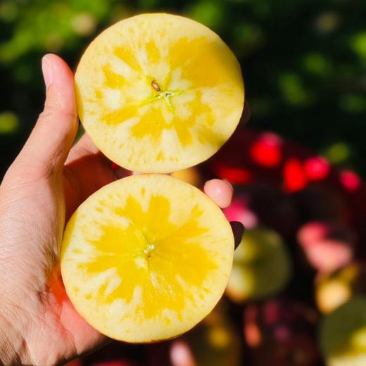 【高原冰糖心丑苹果】具有独特的冰糖甜和脆酥口感 商品图2