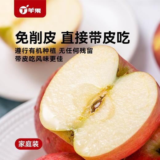有机苹果 有机种植 天然好味道 整箱包装 有机苹果新年礼品 商品图3
