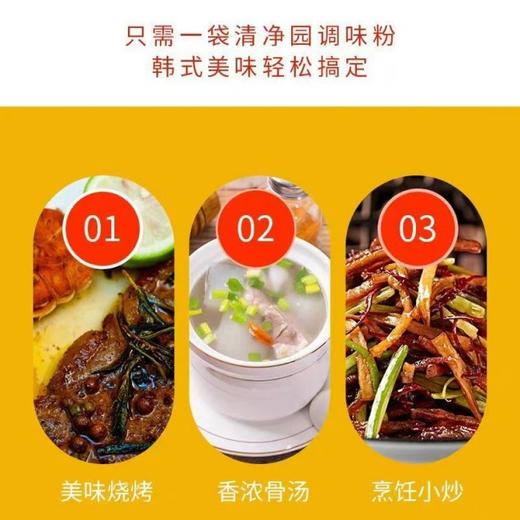 300g 韩国进口清净园 调味粉  煲汤馅料炒菜凉拌烧烤卤菜增鲜韩式调味料 商品图3