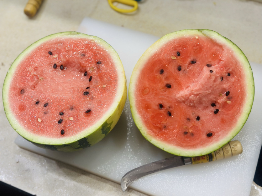 海南黑籽西瓜🍉（10斤左右）