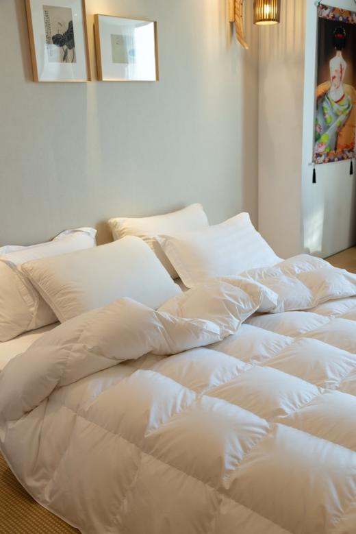 日系羽绒被 商品图1