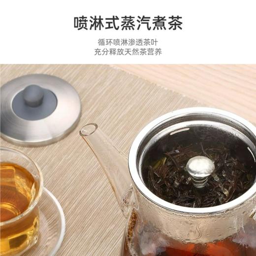 永利汇煮茶器黑茶玻璃全自动电热水壶蒸汽煮普洱茶壶 商品图4