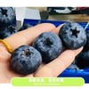 巨无霸蓝莓24+ 商品缩略图2