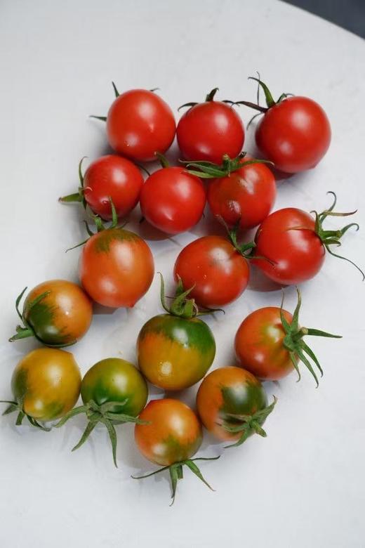 猫太推荐---碱水地脆皮番茄（3斤） 商品图5