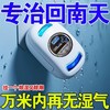 欧洲达尔文黑色挂件吸附湿气全天候清洁空气持久省心清除神器 商品缩略图2