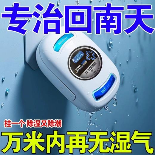 欧洲达尔文黑色挂件吸附湿气全天候清洁空气持久省心清除神器 商品图2