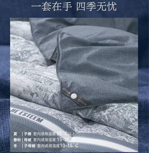 【春上新】10楼 宜庭 绘影时光可水洗95%鹅绒被两件套 吊牌价9800-13800元 活动价2999-4199元 商品图2