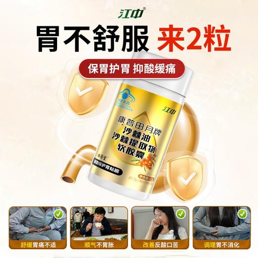 【江中】康普田月牌沙棘油沙棘提取物软胶囊 100:1浓缩沙棘护胃精华 保护胃黏膜 养胃更护胃 商品图3