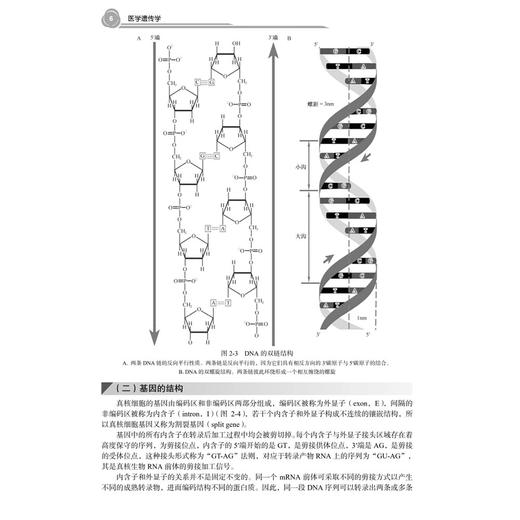 医学遗传学 十四五普通高等教育本科规划教材 吴志英 本书可供临床、检验、口腔、预防及护理等专业的学生使用 科学出版社 商品图4