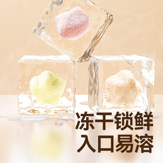 秋田满满维C满满水果溶豆(牛油果猕猴桃)18g 商品图4