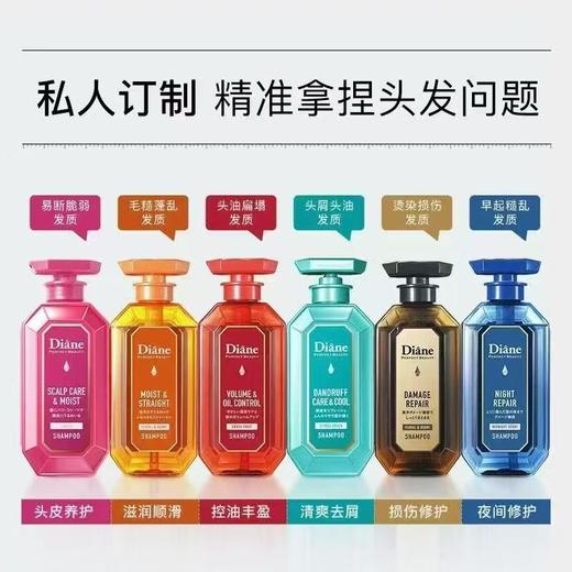 【原装进口】黛丝恩 致美洗发水/护发素450ml【多种功效可选】 商品图0