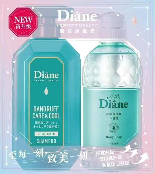 【洗沐礼盒套装】2件套 黛丝恩洗发水沐浴套装   [ 洗发450ml（进口） +沐浴600ml（国产）] 商品图0