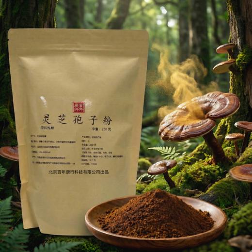 袋装孢子粉原料（250克/袋） 商品图0