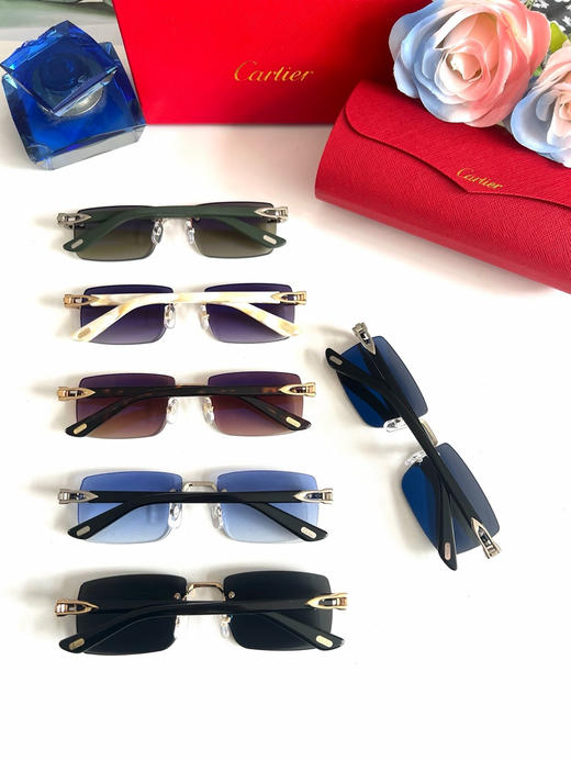 秋冬特惠💰290 卡地亚眼镜 太阳镜 Model:CT0579S SIZE:57口19-145 商品图1