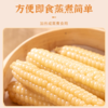 【拇指玉米】皮薄肉嫩软糯香甜  西双版纳特产品种  1斤普通装 2/4斤礼盒装 商品缩略图4