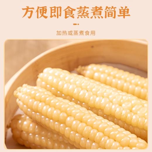 【拇指玉米】皮薄肉嫩软糯香甜  西双版纳特产品种  1斤普通装 2/4斤礼盒装 商品图4
