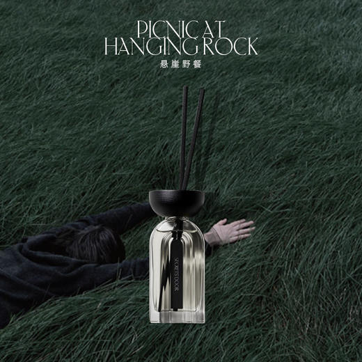 秘密之门悬崖野餐灵感扩香100ml 商品图0