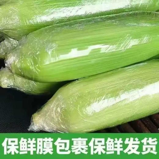 【果粒香甜】金银双色水果玉米 净重3/5斤 单果300g+ 颗粒饱满鲜嫩多汁 商品图2