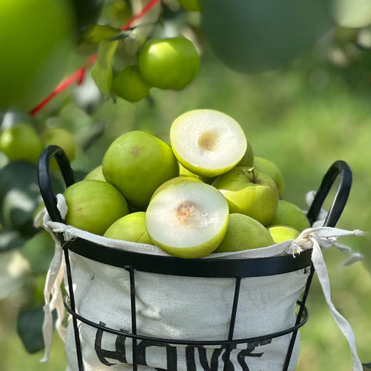 生态种植【云南高原蜜罐苹果】苹果、梨、枣混合口感 商品图0