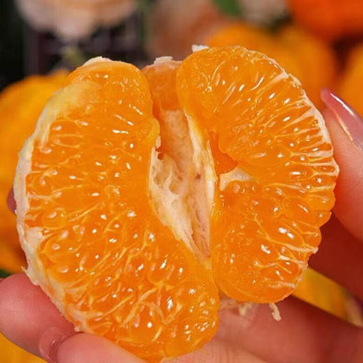 南瓜柑酸甜无渣形如南瓜口感层次丰富汁水丰盈 果型漂亮肉质鲜嫩可口一吃就上瘾 商品图4