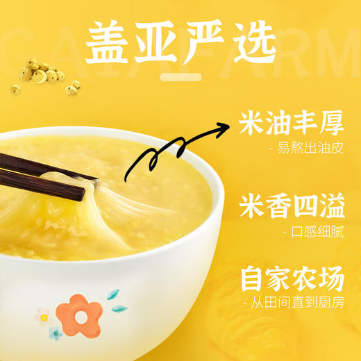 优选丨盖亚农场【内蒙古黄小米】1.25kg  盖亚农场-昌旺【有机五常大米】2.5kg  盖亚农场【紫薯黑米粥】900g 商品图0