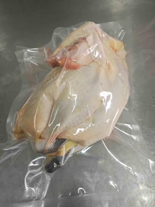 老母鸡（适合煲汤）/大公鸡（适合红烧）～净田社山林自由放养 商品图2