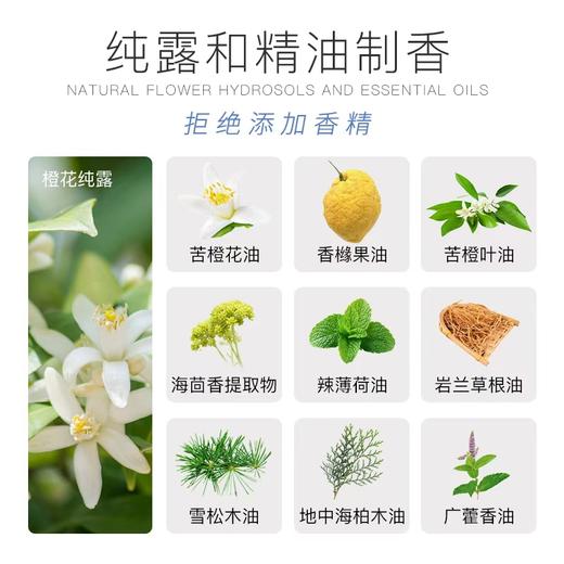 【立减10元+赠品】洄·海盐深藻沐浴露 | 500ml/瓶 清洁保湿 敏感肌适用 橙花纯露 精油调香 雪松海茴香【自营】 商品图1