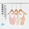 allblu幼岚发育期内衣，儿童背心文胸，少女内衣 商品缩略图0