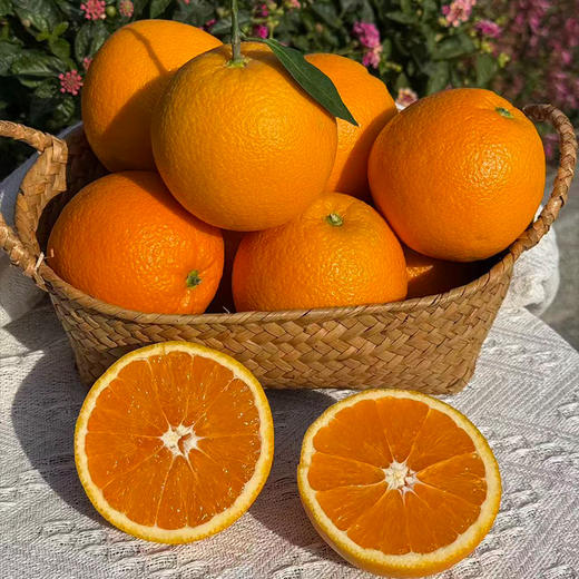 【买5斤送2斤】新鲜水果 橙香浓郁 九月红脐橙大果70mm-75mm 5斤装（十堰主城区包邮） 商品图0