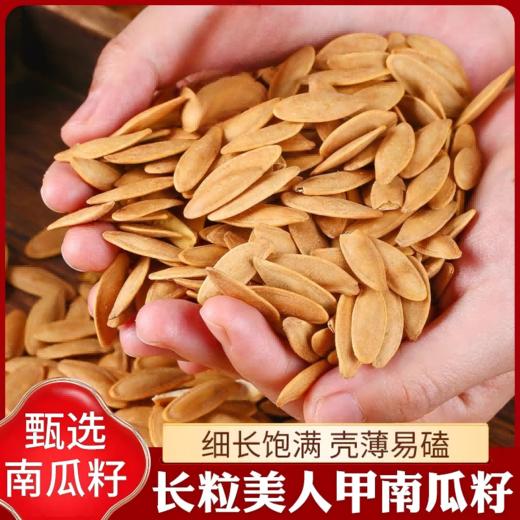 硕果田间·黄金美人甲南瓜子｜薛记同款，新疆阿勒泰原产，2000小时日照+天山雪水灌溉 ，10斤精选1斤，层层严选 商品图0